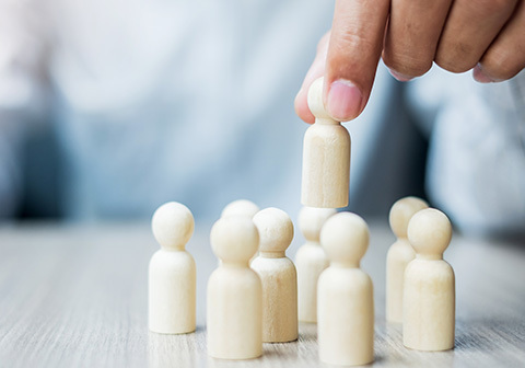 Organization