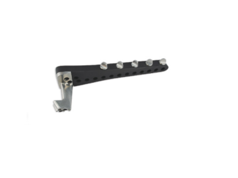 38 Proximal Tibia Locking Plate Target Device(Optional)